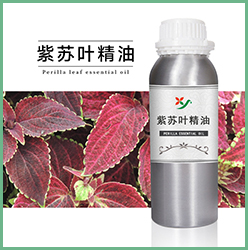 紫苏叶精油