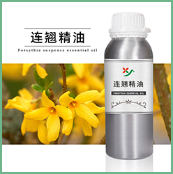 连翘精油