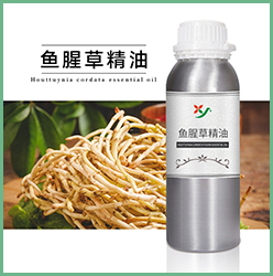 鱼腥草精油