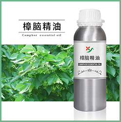 樟脑精油