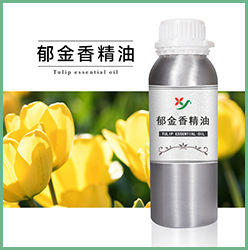 郁金香精油