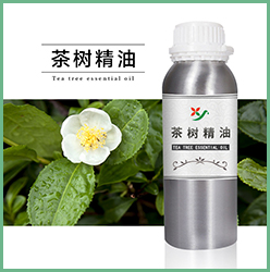 茶树精油