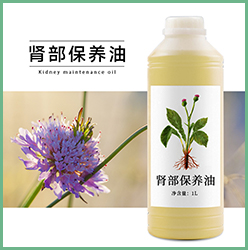 肾部保养油