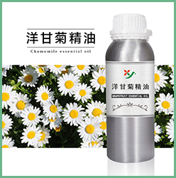 洋甘菊精油