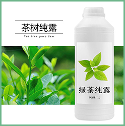 茶树纯露